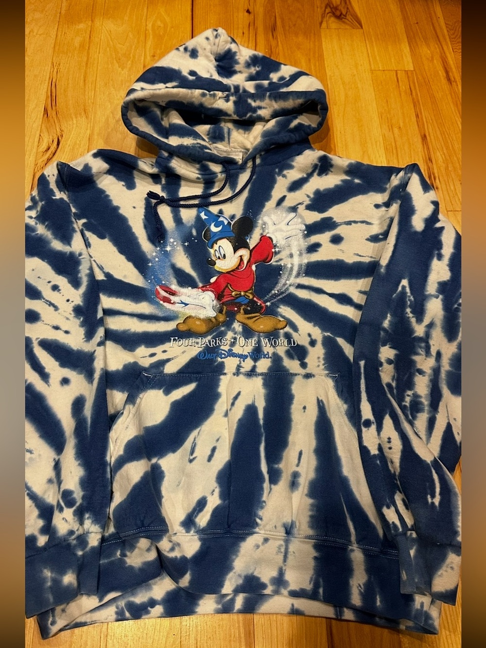 Disney World “four parks, one world” hoodie